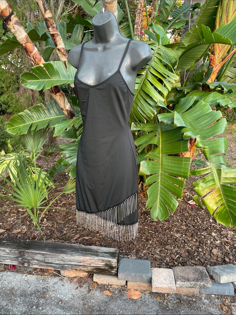 Crystal fringe slipped dress